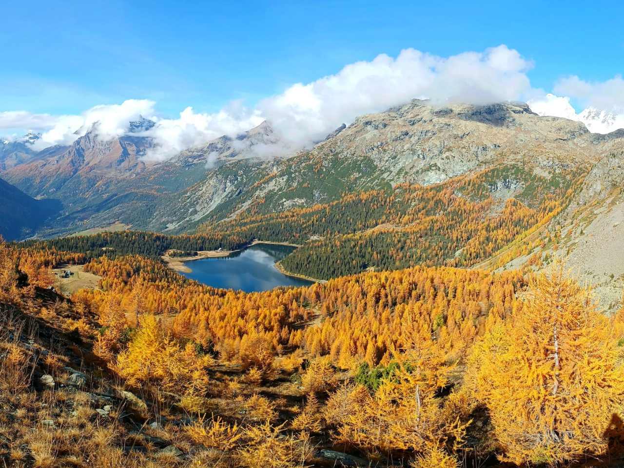 lago palù foliage valmalenco