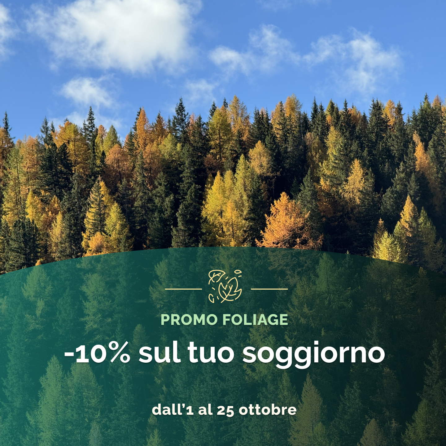 promozione rezia hotel valmalenco foliage